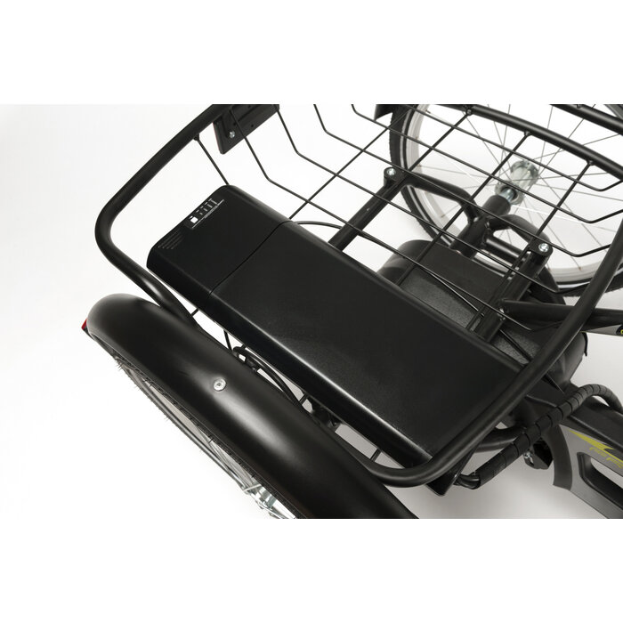 2217E Freedom Elektrische driewielfiets