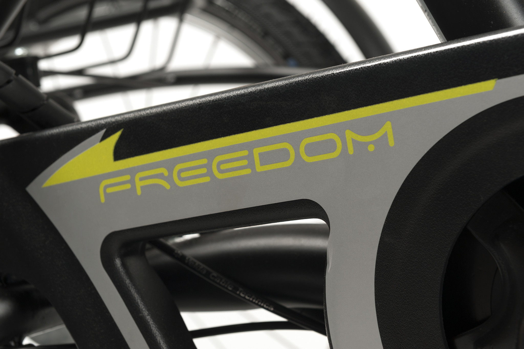 2217E Freedom Elektrische driewielfiets