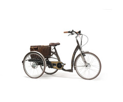 2219E Vintage elektrische driewielfiets