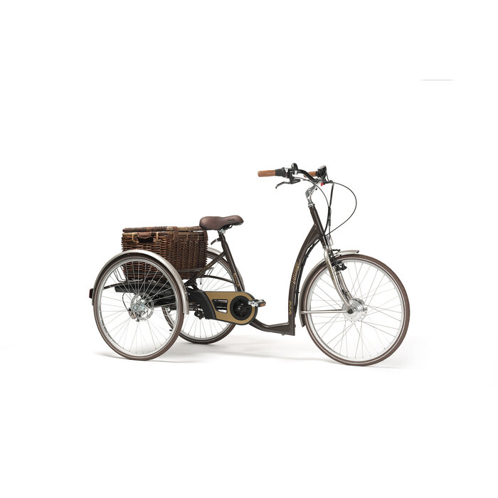 2219E Vintage elektrische driewielfiets