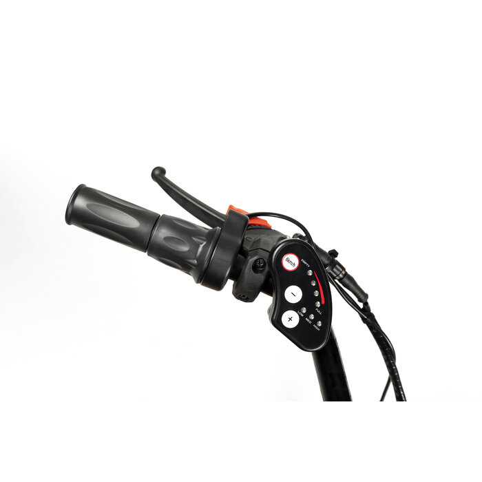 2219E Vintage elektrische driewielfiets