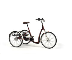 2219E Lagoon elektrische driewielfiets