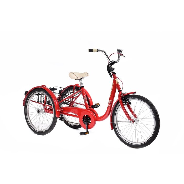 FROGGY Kinderdriewielfiets