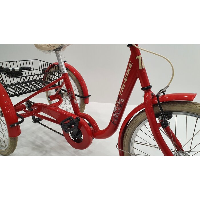 FROGGY Kinderdriewielfiets