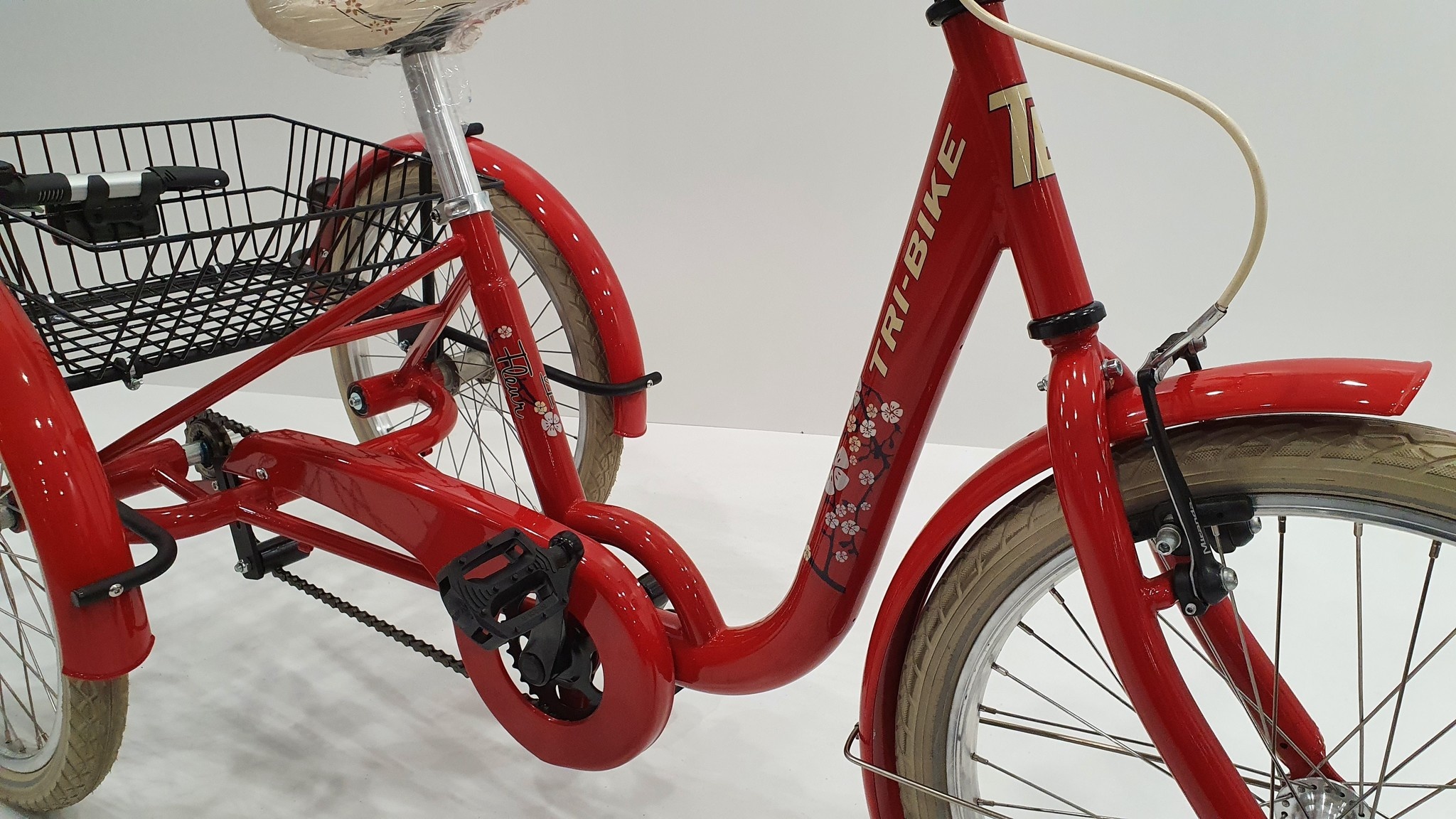 FROGGY Kinderdriewielfiets