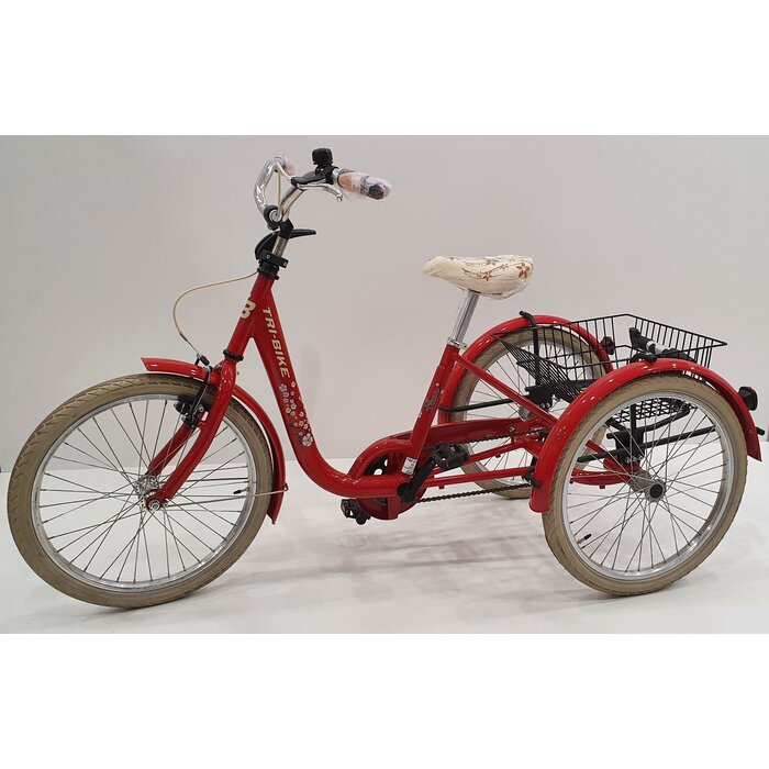 FROGGY Kinderdriewielfiets