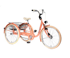 FLASH Kinderdriewielfiets