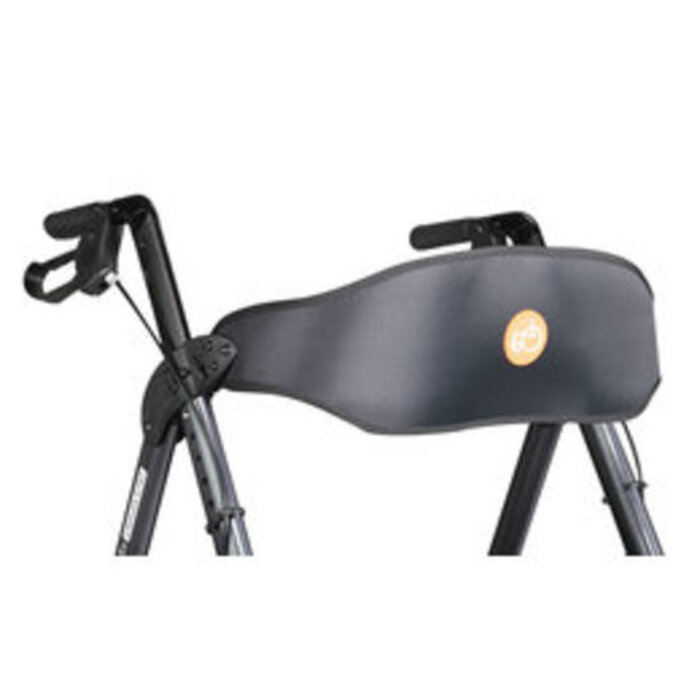 Litewalk II Heavy Duty