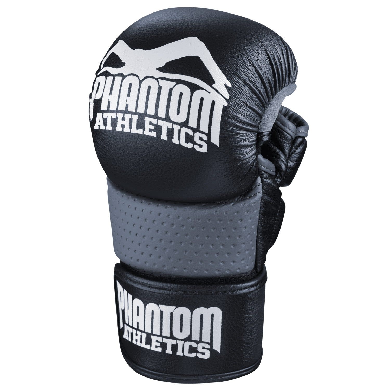 Phantom - MMA sparring - Riot