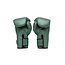 FAIRTEX Fairtex X Booster  - bokshandschoenen - FXB-BG GROEN