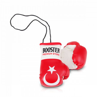 Booster Fightgear Bokshandschoenen Carhanger mini voor in de auto - TURKIJE