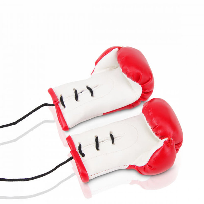 Booster Fightgear Booster - Mini bokshandschoenen -  TURKIJE