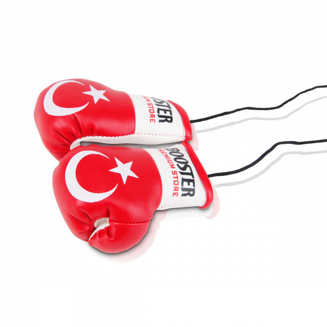 Booster Fightgear Bokshandschoenen Carhanger mini voor in de auto - TURKIJE