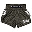 FAIRTEX FAIRTEX - Short - FXB-TBT GR