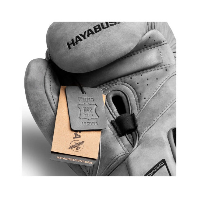 Hayabusa BOKSHANDSCHOENEN - t3 LX - Slate