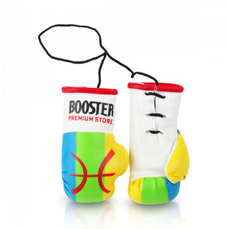 Booster Fightgear Mini Bokshandschoenen Carhanger voor in de auto - AMAZIGH
