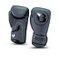 Booster Fightgear bokshandschoenen - Bokshandschoenen - PRO BGL VX 2