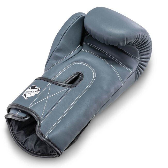 Booster Fightgear bokshandschoenen - Bokshandschoenen - PRO BGL VX 2