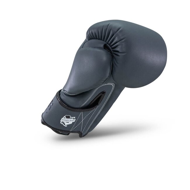 Booster Fightgear bokshandschoenen - Bokshandschoenen - PRO BGL VX 2