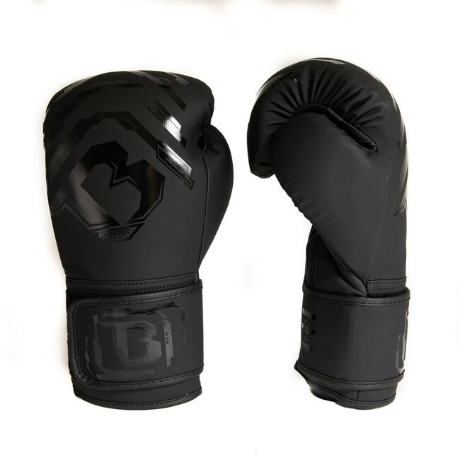 Booster Fightgear bokshandschoenen - BG YOUTH ELITE V2.1
