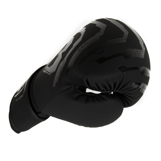 Booster Fightgear bokshandschoenen - BG YOUTH ELITE V2.1