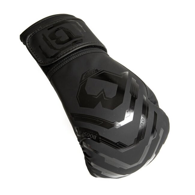 Booster Fightgear bokshandschoenen - BG YOUTH ELITE V2.1