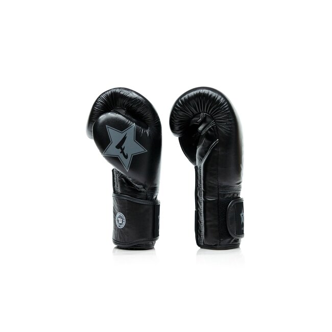 FAIRTEX Fairtex x Booster FXB BG V2 – Premium Leren Bokshandschoenen – Zwart