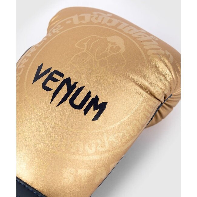 Venum RAJADAMNERN BOKSHANDSCHOENEN - Goud