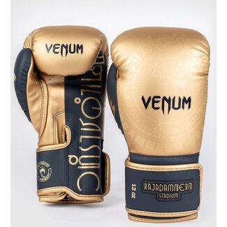 Venum RAJADAMNERN BOKSHANDSCHOENEN - ZWART/
