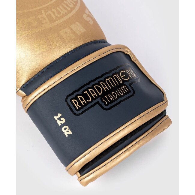 Venum RAJADAMNERN BOKSHANDSCHOENEN - Goud