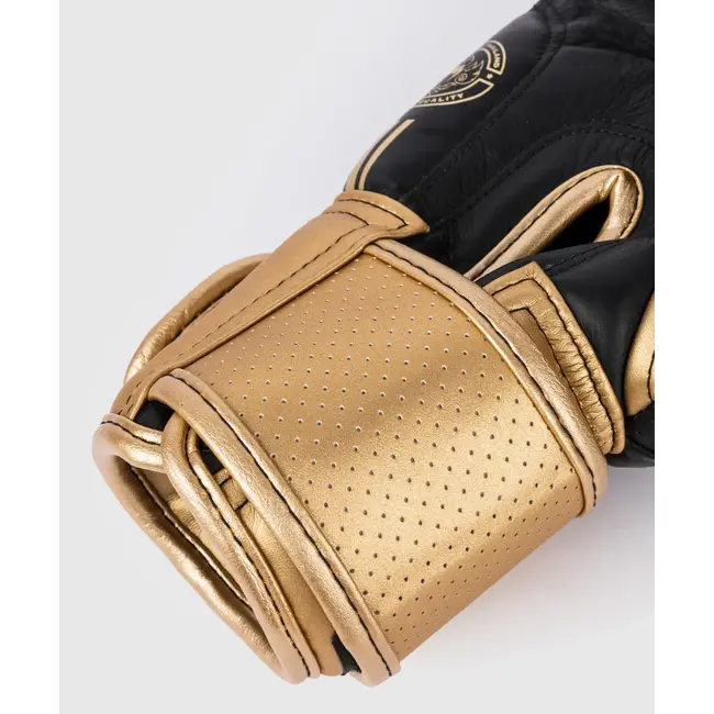 Venum BOKSHANDSCHOENEN - Power 2.0 - Black/Gold