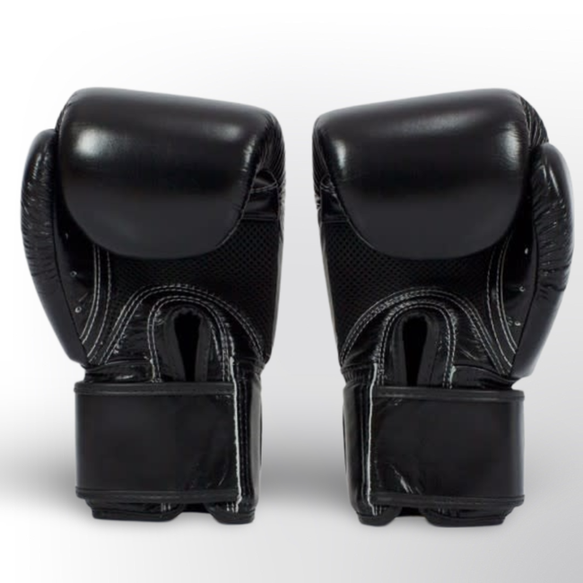 FAIRTEX BGV1 Leren Bokshandschoenen – Zwart