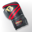 Booster Fightgear BOKSHANDSCHOEN - PRO BGL V10 BK/RD