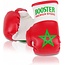 Booster Fightgear Bokshandschoenen Carhanger mini voor in de auto - Marokko