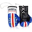 Booster Fightgear Mini Bokshandschoenen Carhanger voor in de auto - Kaapverdië