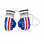 Booster Fightgear Mini Bokshandschoenen Carhanger voor in de auto - Kaapverdië
