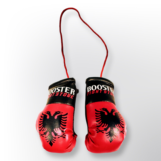 Booster Fightgear Mini bokshandschoenen - Albanie