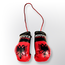 Booster Fightgear Mini bokshandschoenen - Albanie