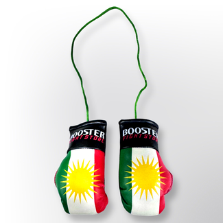 Booster Fightgear Mini Bokshandschoenen Carhanger voor in de auto - KURDISTAN