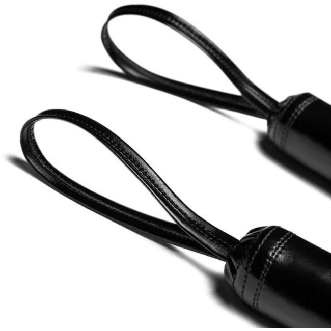 Hayabusa Boxing Training Sticks