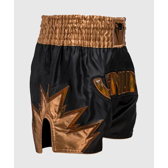 Venum Inferno Muay Thai Shorts - Black/Bronze