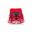 Booster Fightgear BOOSTER Kickboksbroek - TBT Country PL - Polen Design