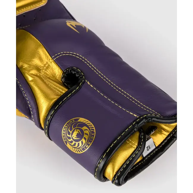 Venum BOKSHANDSCHOEN - Giant 3.0 Boxing gloves - Dark Purple/Gold