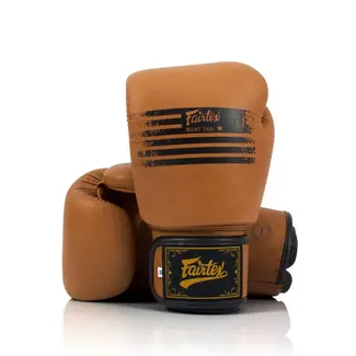 FAIRTEX BGV21 Legacy Bokshandschoenen – Bruin
