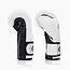 FAIRTEX Fairtex - Bokshandschoenen –  BGV9- Mexican Style - WHITE/BLUE