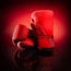 Hayabusa T360 Bokshandschoenen – Rood – Dual-X Polssteun – Training & Sparring