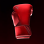 Hayabusa Hayabusa - bokshandschoenen -  T360  - RED