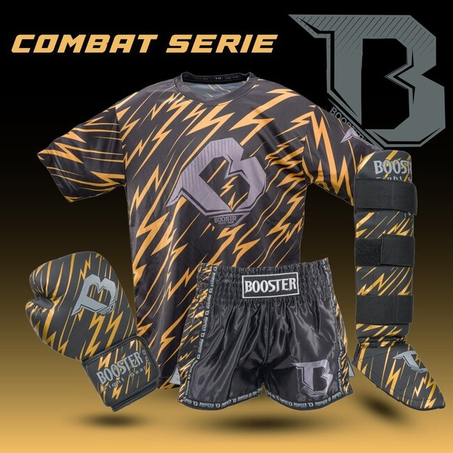 Booster Fightgear Booster Combat Series 1 BG Kids Bokshandschoenen Goud