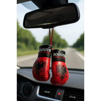 Booster Fightgear Mini bokshandschoenen - Albanie
