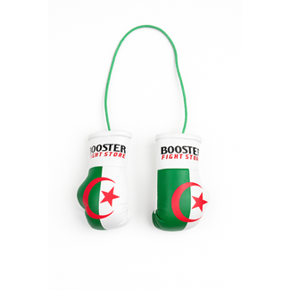 Booster Fightgear Mini Bokshandschoenen Carhanger voor in de auto - Algerije